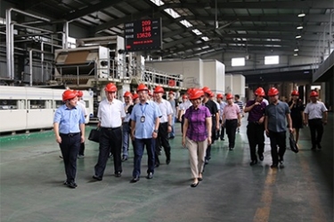 2018年9月12日，全国政协常委、提案委员会副主任郭庚茂、支树平携带调研组光临公司发展调研