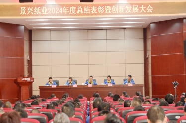 乘风破浪 逐梦前行 | PP视讯纸业2024年度总结赞美暨创新发展大会隆沉召开